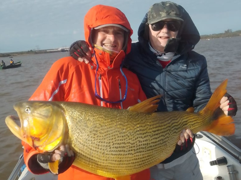Argentina, Pesca, dourado
