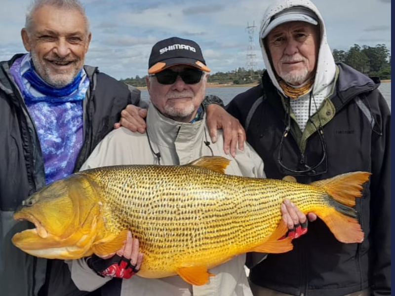 Argentina, Pescaria, Dourado