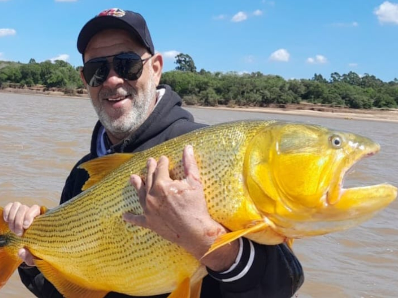 Argentina, Pesca, Dourado